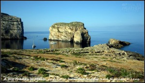 fungus-rock-saddle