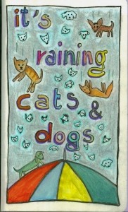 its raining cats and dogs