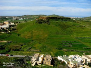 carpet of green gozo from citadel Marthese Magro