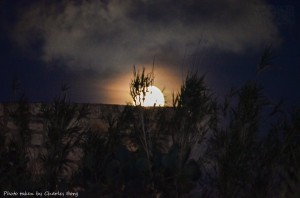 moon rabat charles borg