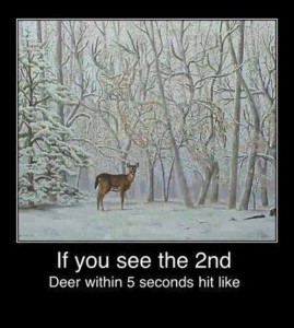 deer puzzle