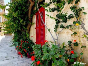 bright and colourful in vittoriosa elizabeth faenza