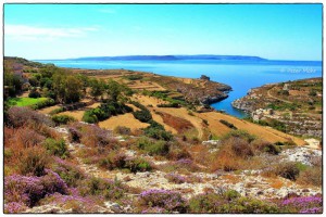 calm and serene at mgarr ix-xini valley peter mohr