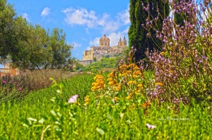 citadel franco tabone