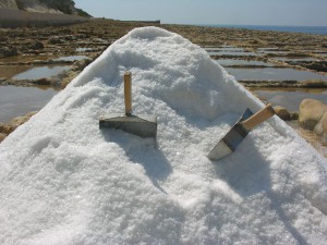 fruit of the sea xwejni salt pans