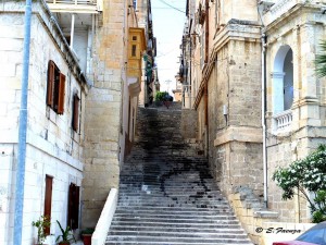 senglea elizabeth faenza