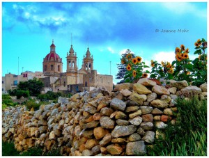 typically maltese sannat joanne mohr