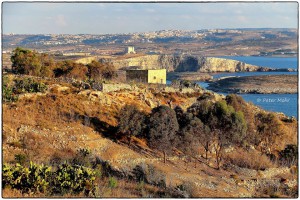 view across the malta-gozo channel peter mohr