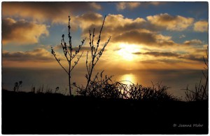 sunset gozo joanne mohr