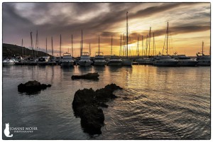 Early morning at the Marina joanne mohr