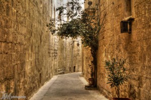 Enjoying a walk through the many beautiful streets of Malta's majestic old capital city Mdina. A big thanks to Joseph Micallef Photography for this excellent pic. (2)