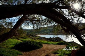 Loch Ness The Lake District Canada No it's Malta's Gnejna Bay surrounded by lush countryside. Thanks to Isabella Mallia for the pic