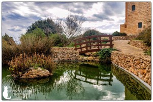 Reflections at Ta' Kenuna Gardens nadur gozo joanne mohr