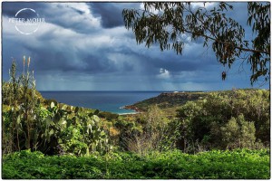 on a path to ramla bay on a rainy morning peter mohr