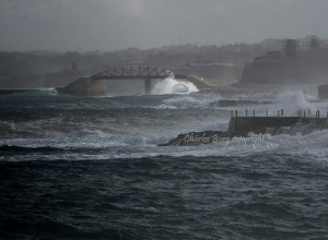 valletta charles borg