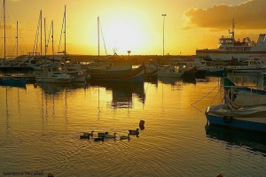 early morn peace & tranquility mgarr harbour lawrence micallef