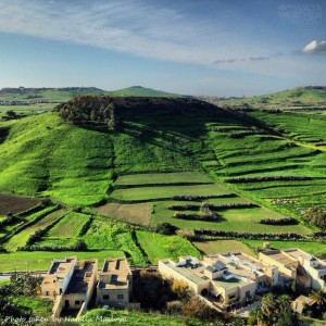 Fifty Shades of...GREEN! Gozo is transformed into a lush green island after a week of heavy rain. Natalia-Maslova