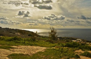 enjoying a pleasant morning at gnien gibjun zurrieq enrico mifsud