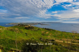 view from qala belvedere franco tabone