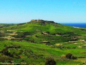 Fifty Shades of...GREEN! Gozo is transformed into a lush green island after a week of heavy rain. simon grech