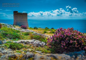 spring is in the air qrendi joe demanuele photography